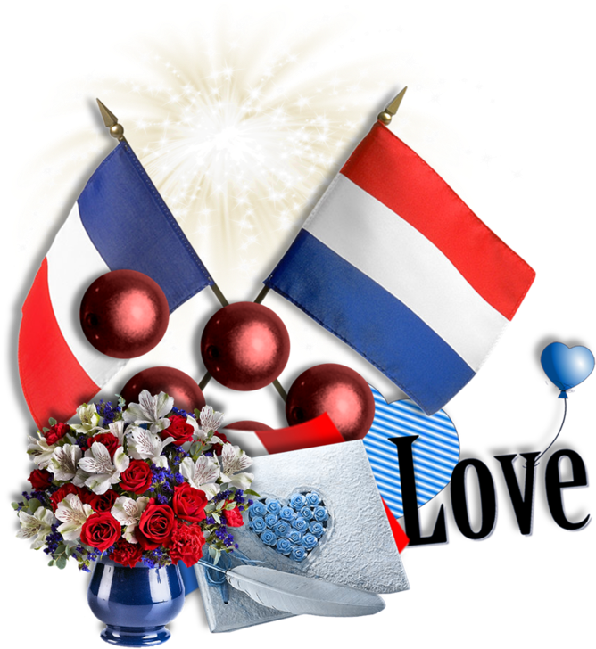 Z8 23 Z7 42 - 4th Of July Flowers (800x821)