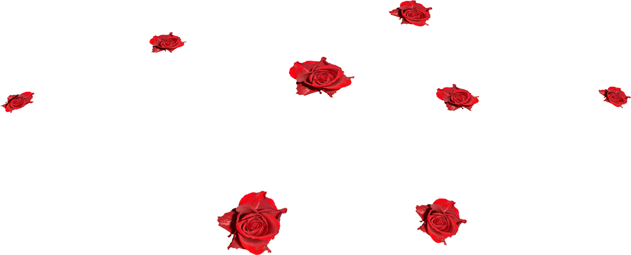 Одиночество Исчезло С Тобой Автор - Garden Roses (2082x843)