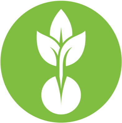 Green Seed Market - Green Seed Market (410x410)