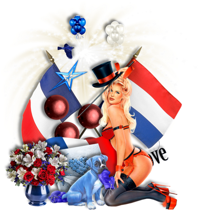 Z6 49 - 4th Of July Flowers (800x775)