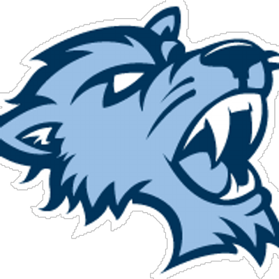 Baruch Admissions - Baruch College Bearcats (400x400)