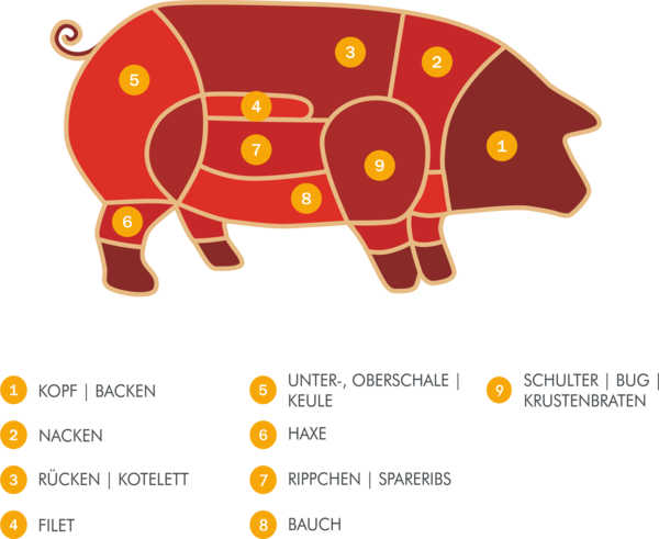 Selbstverständlich - Indian Elephant (600x491)