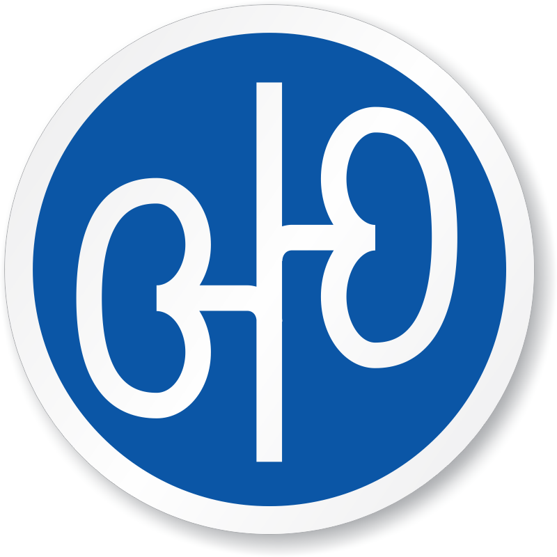 Renal Kidney Symbol Iso Circle Sign - Kidney Pain (800x800)