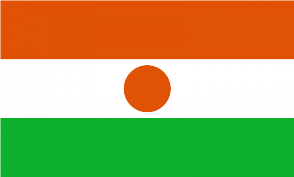 Niger - Niger Flag Transparent (600x600)