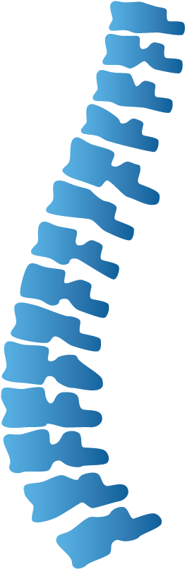 Spine Diversified-techniques - Chiropractic Clipart Teal (294x842)