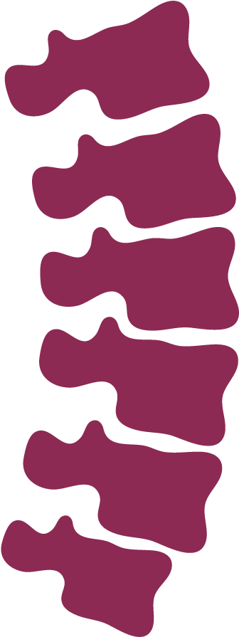 Chiropractic - Vertebrae Vector (1000x1000)