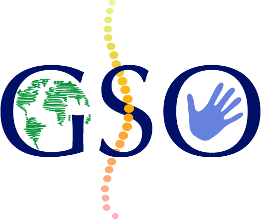 Global Spine Outreach - Global Spine Outreach (526x440)