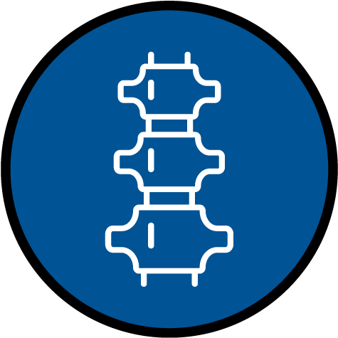 Spine Care - Lightspeed Systems Logo (500x500)