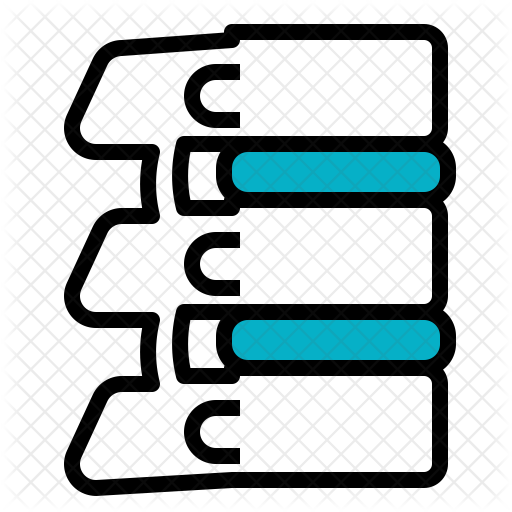 Spine Icon - Vertebral Column (512x512)
