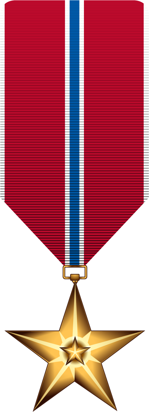 Bronze Star Medal - Emblem (504x1421)