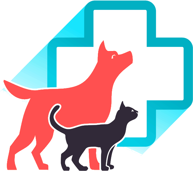 Veterinarian Cedar Hill Mo - Animal Clinic (664x578)