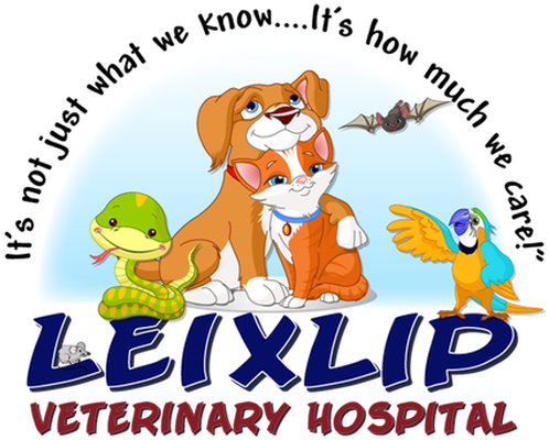 Your Pet's Health Is In Good Hands - Leixlip (500x428)