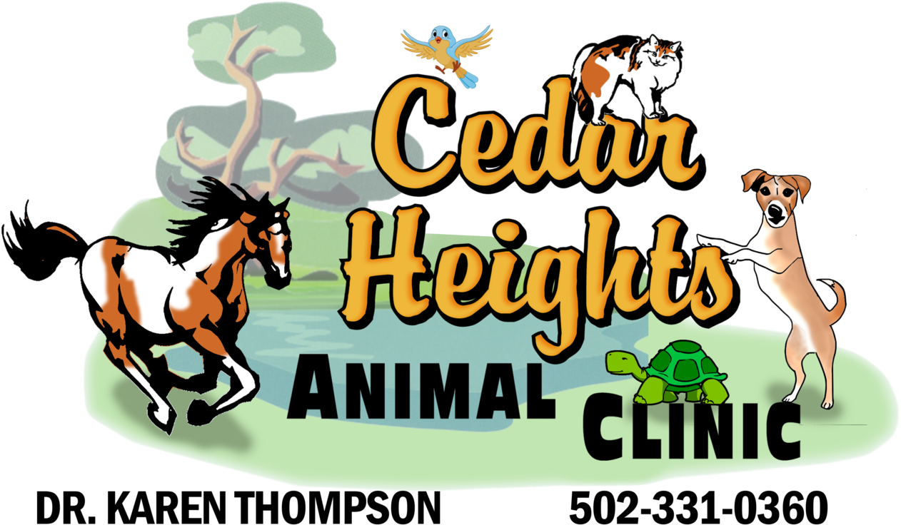 Keeping Pets Healthy - Custom Running Stallion Shower Curtain (1280x765)