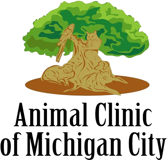 Schedule An Appointment Today - Animal Clinic Of Michigan City (600x600)