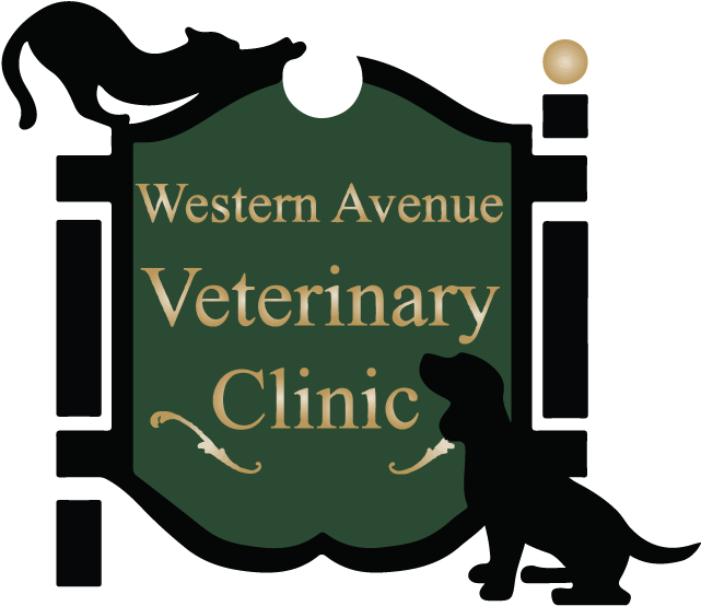 Western Avenue Veterinary Clinic - Illustration (657x576)