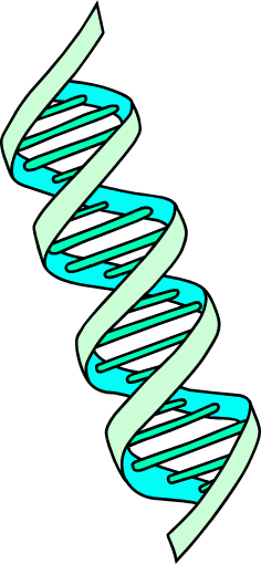 Linus Carl Pauling - Linus Carl Pauling (236x510)