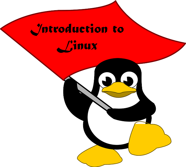 Introduction To Linux - Tux (640x576)