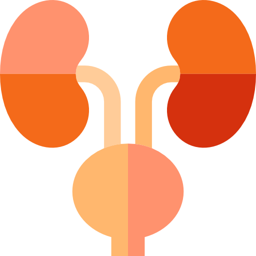 And High Blood Pressure - Urology Clip Art (512x512)