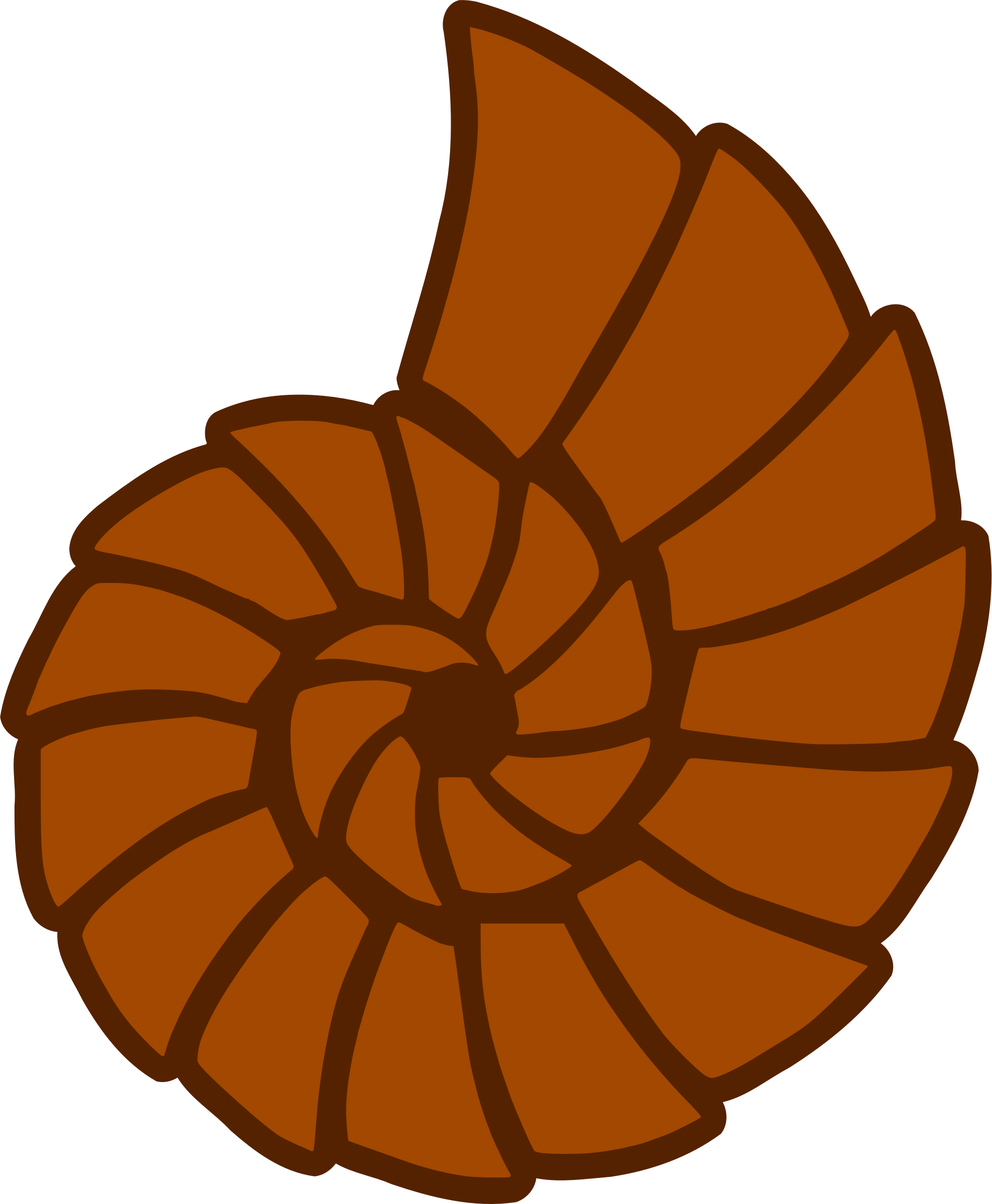 Clipart - Seashell (1977x2400)