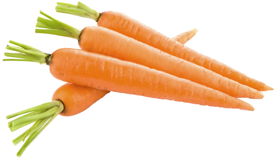 Contiene Numerosi Sali Minerali Come Sodio, Potassio, - Carrot Png (567x347)