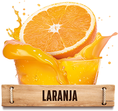 Que Tem Como Principais Funções Auxiliar O Organismo - Bitter Orange (400x434)