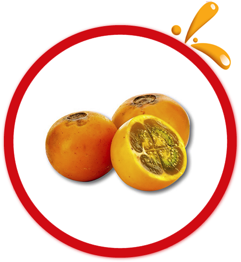 Fuente De Hierro Y Fósforo - Naranjilla (500x555)