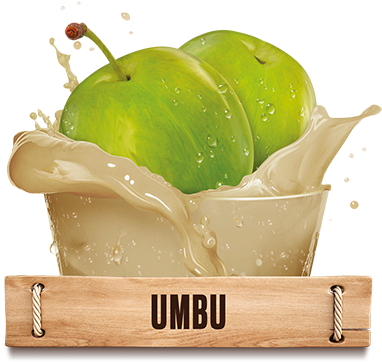 A Fruta Umbu É Nutritiva E Fornece Componentes Importantes - Granny Smith (400x434)