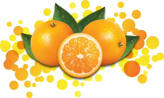 Importantes Fornecedores De Vitamina B6, Tiamina, Fósforo, - Egoera Stainless Steel Manual Juicer Strainer Orange (540x323)