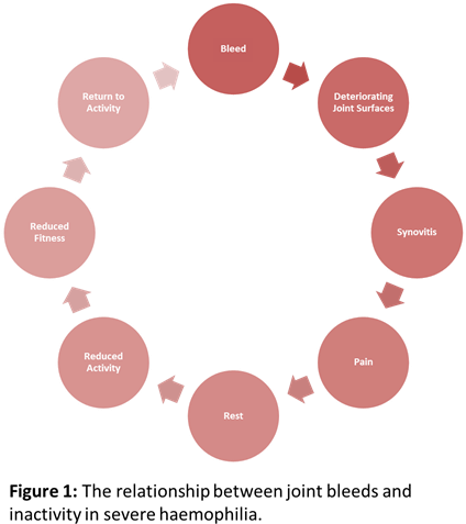 Fig 1 Haemophilia Cycle - Clinical Trial Management System (447x489)