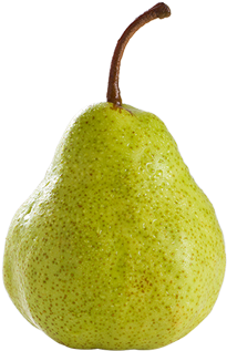 Boa Fonte De Carboidratos, A Pêra Também Possui Doses - Груша Беребоск (584x408)