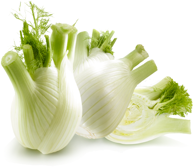 Povero Di Calorie E Ricco Di Fibre, Il Finocchio È - Finocchi Png (450x338)