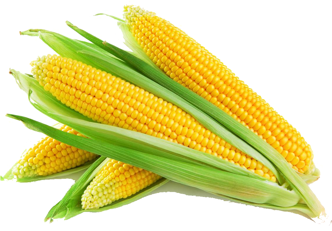 Em Proteínas , Carbohidratdos (fornecendo Energia), - Кукуруза Пнг (1185x892)