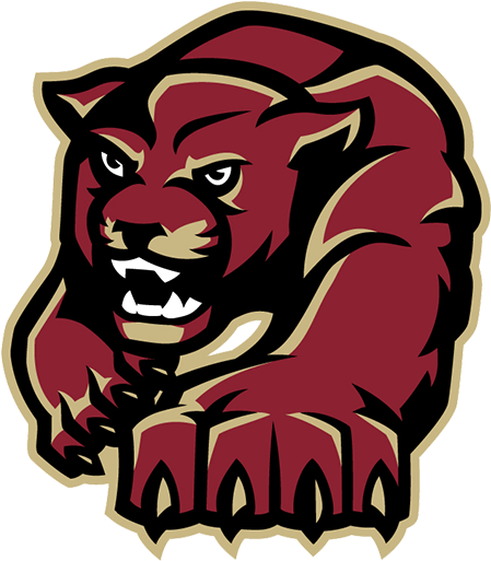 Interested In Playing A Sport - Paint Branch High School Mascot (512x512)