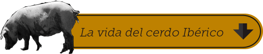 Zinc Y Calcio, Pero Sobre Todo En Fósforo - Bull (550x230)