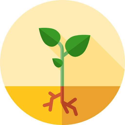 Mulch Herbs Grown Outdoors About 4 Inches Deep To Prepare - Agriculture (512x512)