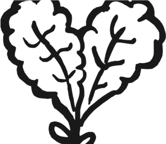Kale Clipart Black And White - Clip Art (640x480)