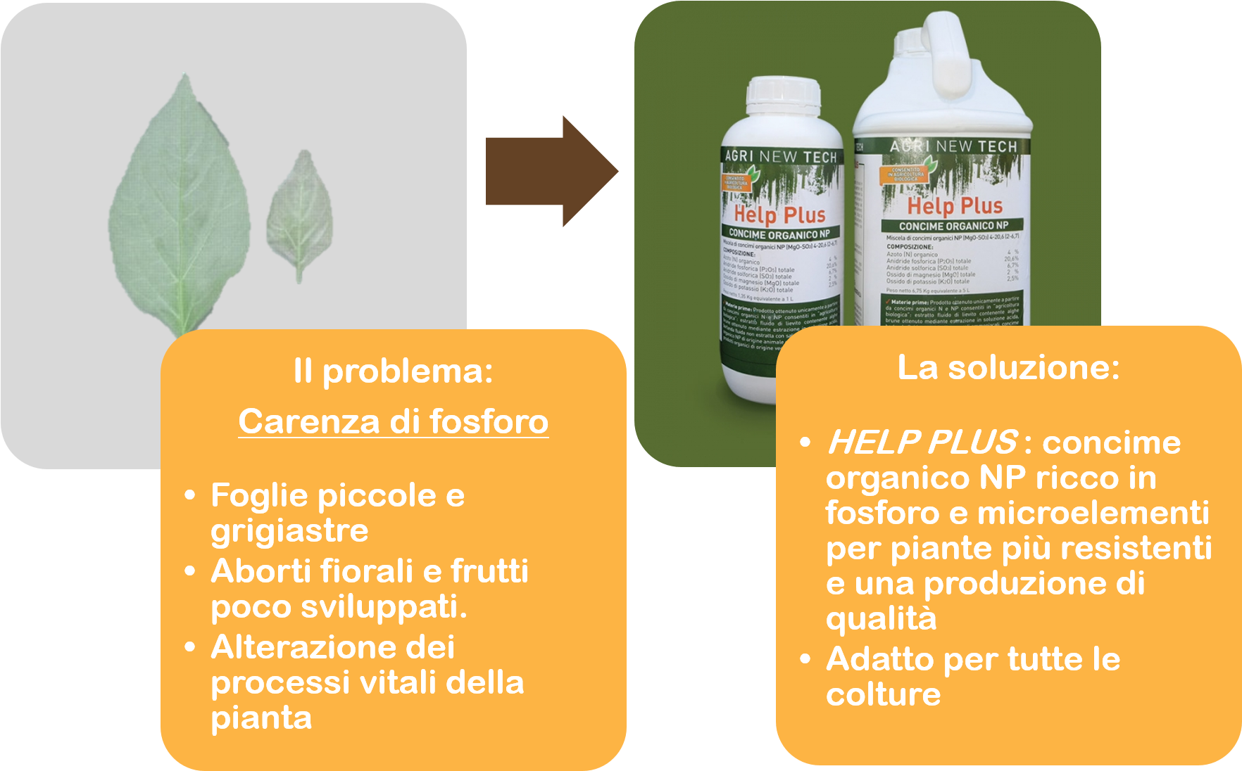 Per Avere Una Consulenza Professionale Ad Hoc Per La - Graphic Design (1799x1169)