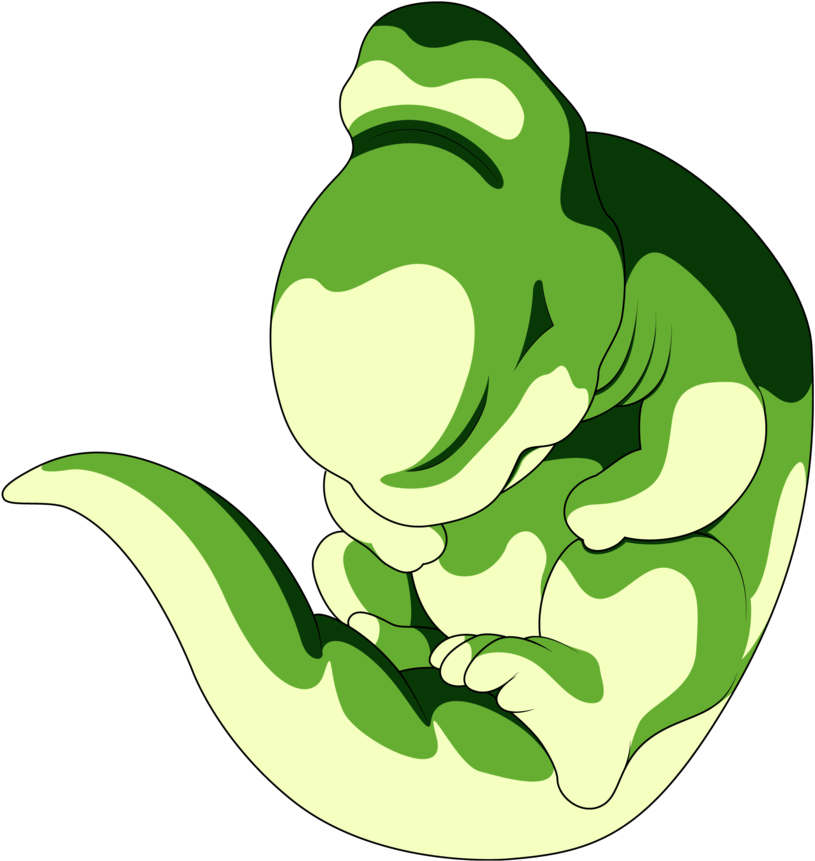 Rare Picture Of Beyonce As A Baby - Dbz Cell Forms (1000x918)