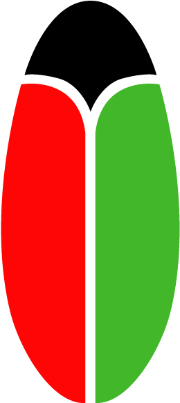 Pimping The Formation Of A Potato - Potato (625x625)