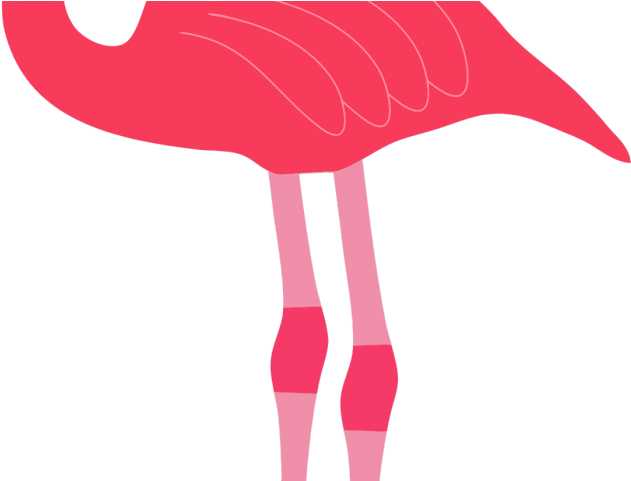 Flamingo Clipart Transparent Background - Happy Marriage Anniversary Png (640x480)