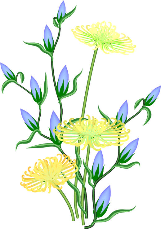 Fleurs Bleues Décorations Printemps Volubilis Scrapbooking - Fleurs Bleus Fond Transparent (527x750)