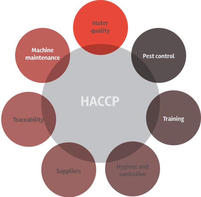 1 - Circle (677x663)