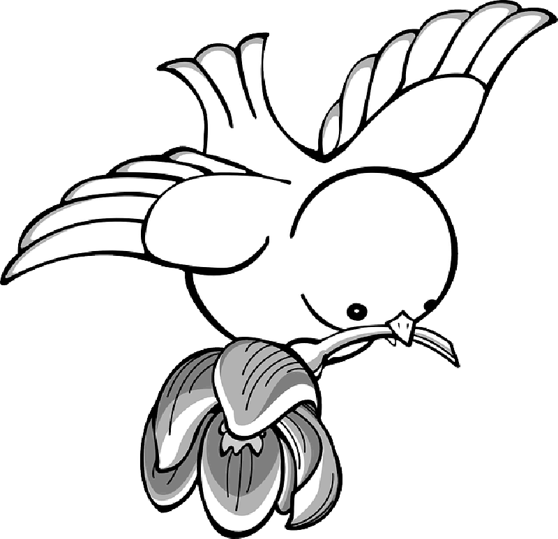 Bird, Flying, Wings, Art, Beak, Carrying, With - Drawing Of Flying Birds (800x773)