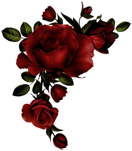 Scarletta - Red Roses Watercolor Png (438x500)