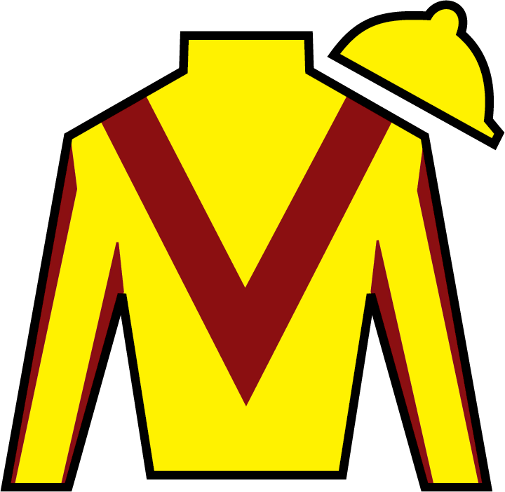 Good Magic Efive Racing Thoroughbreds & Stonestreet - 2018 Kentucky Derby Silks (720x702)