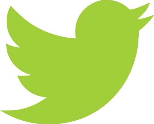 Kentucky Derby - Twitter Green Bird Png (512x415)