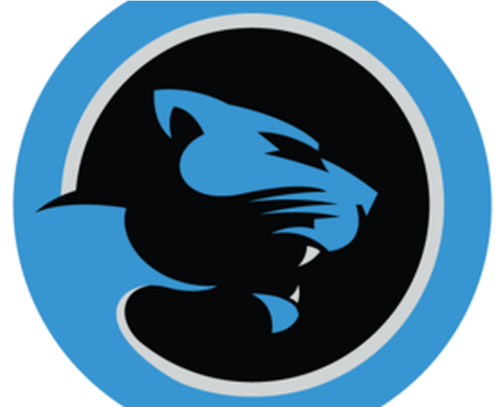 A Summary Of Posts About The Panthers - Carolina Panthers (1050x591)