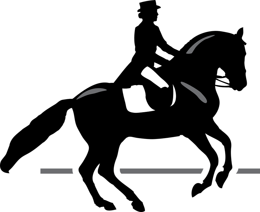 Horse Riding Clipart - Race Horse Silhouette Png (883x720)