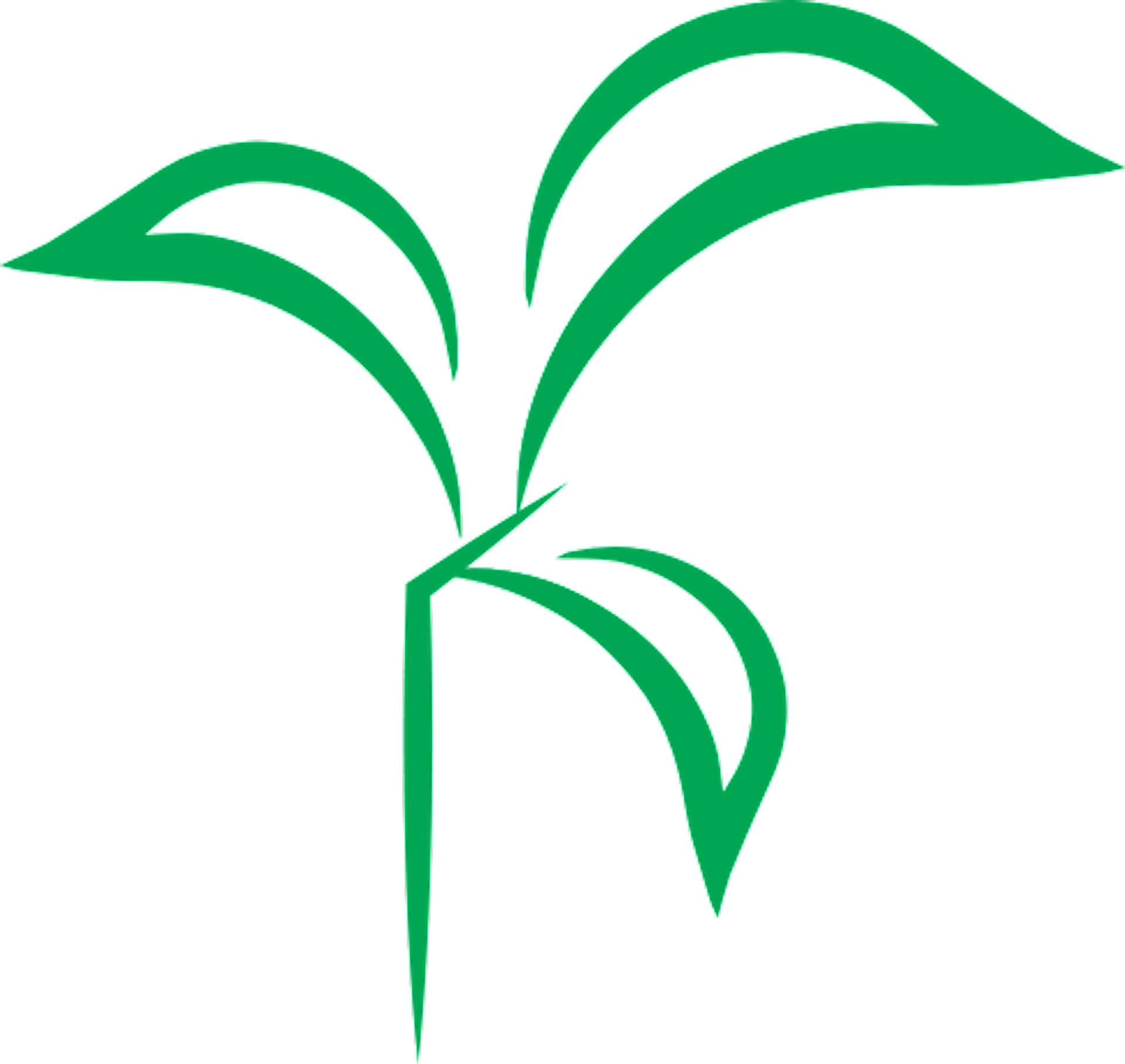 Leaf Line Angle Plant Stem Clip Art - Leaf Line Angle Plant Stem Clip Art (1920x1817)