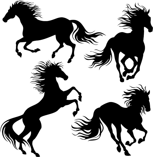 Horse Rearing Stallion Clip Art - Girl And Horse Rearing Silhouette (750x570)